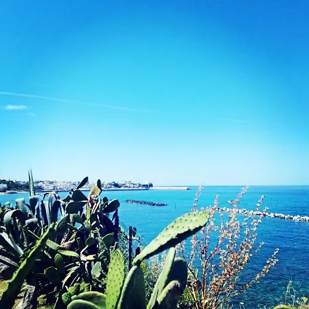 Ischia E ! Forio (Isola d'Ischia)